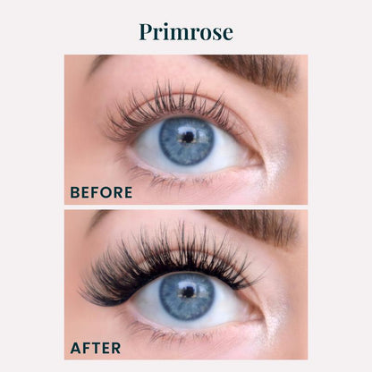 Flutterhabit Primrose Fluffy Cat Eye Cluster Lashes - DIY Lash Extensions, Medium Volume False Eyelashes, 6-Pair Set, Classic C Curl, Long-Wear Underlash Application for Cosmetic Makeup